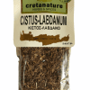 Cistus labdanum - κιστός λαδάνια