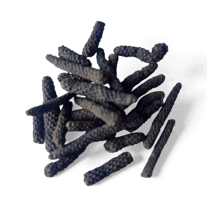 Photoroom 20251126 144445 Photoroom 20251126 144445